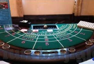 金冠彩票APP-金冠彩票APP，便捷购彩，智能分析，打造全新投注体验